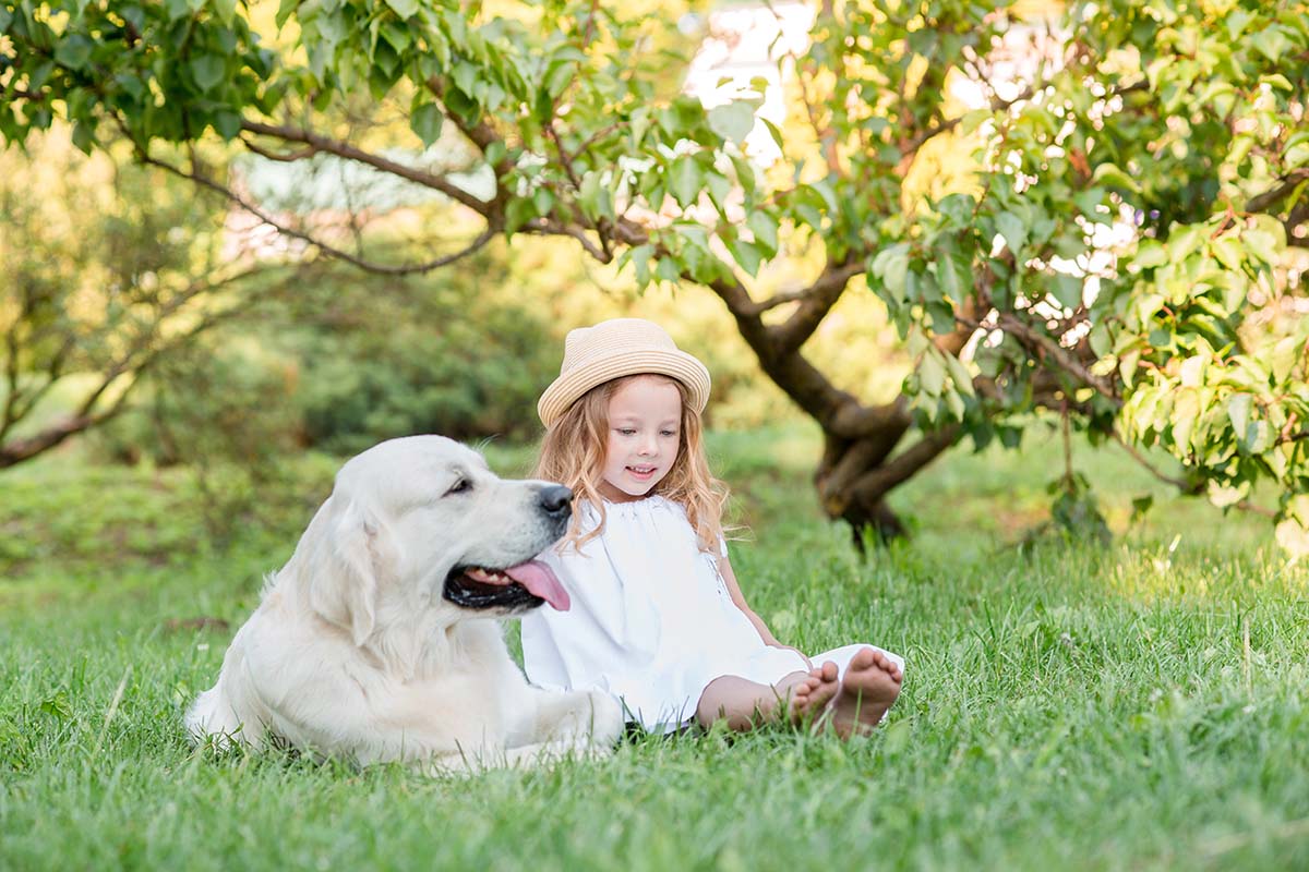 little girl with a big white dog in backyard